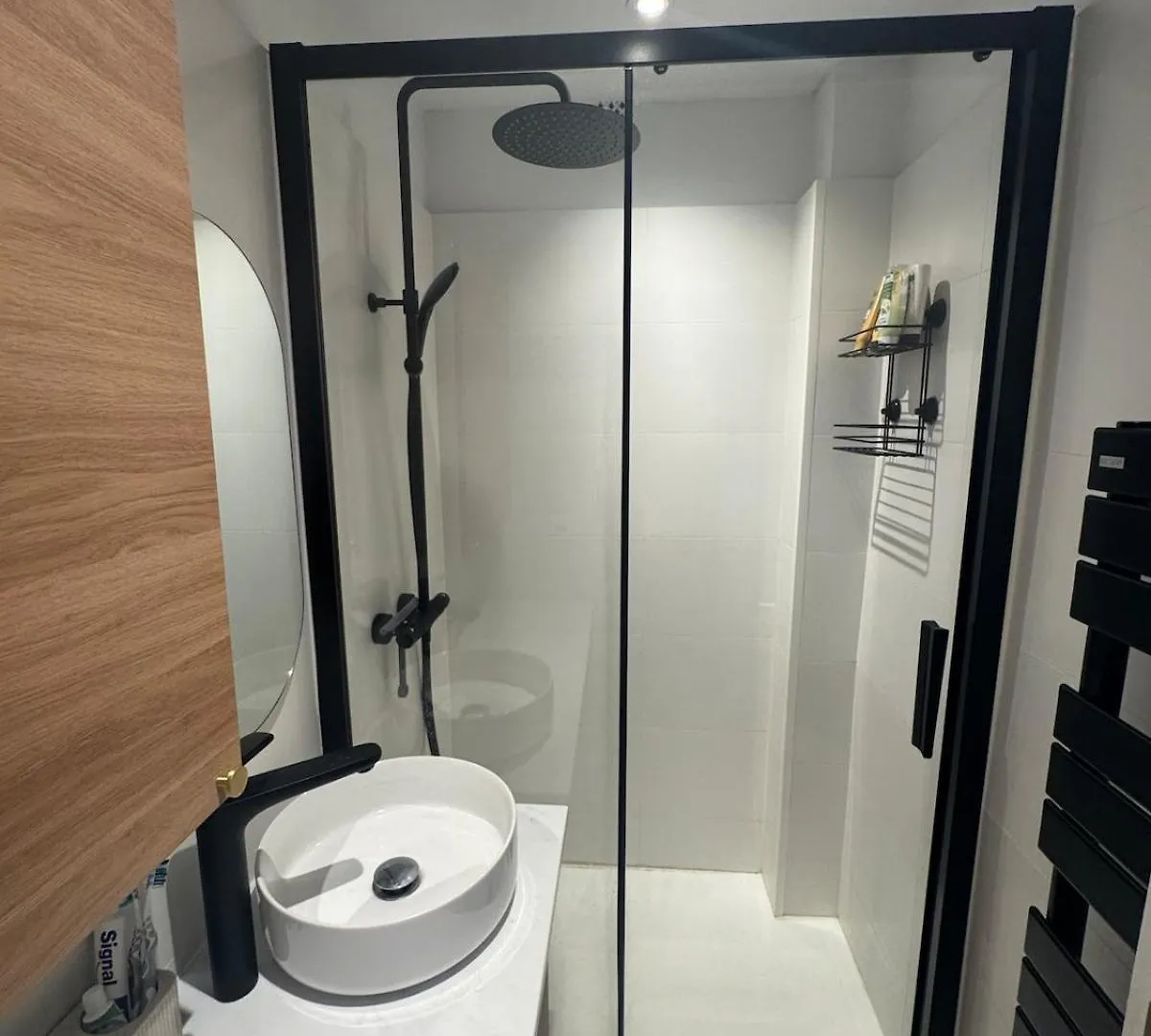 Saint Cyprien Apartment Toulouse