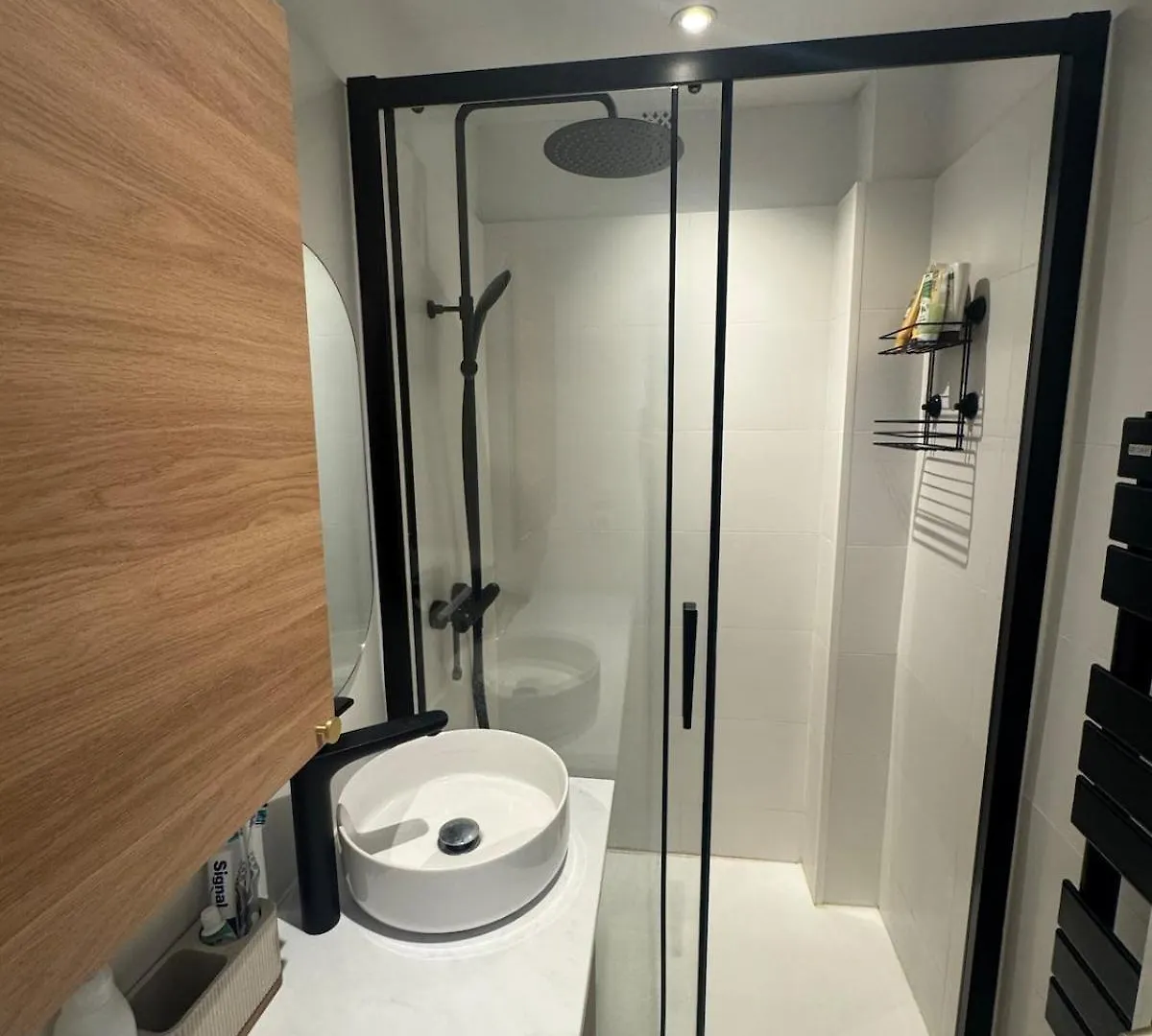 Saint Cyprien Apartment Toulouse